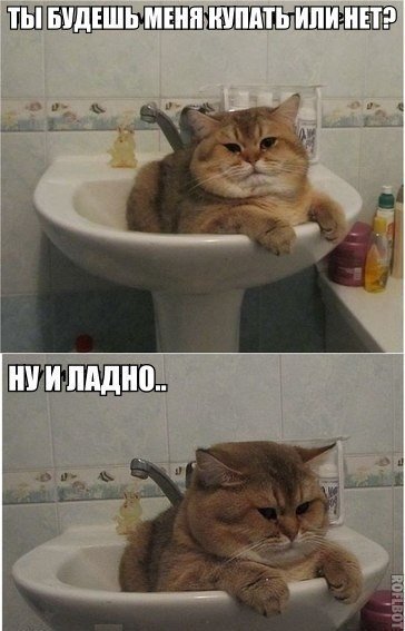 Злые шутки или минутка сарказма на ЯП-е, 16+