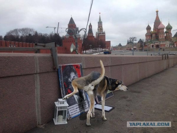 Марш памяти Немцова за 60 секунд