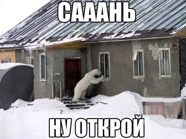 Божьи твари