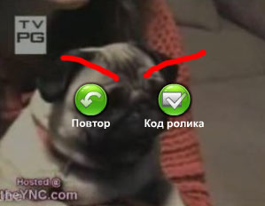 Адский собакевич!