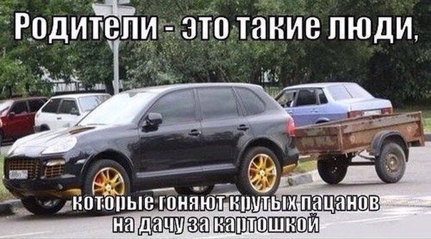 Порция картинок из сети