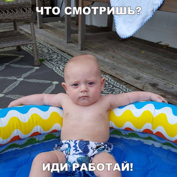 Ассорти картинок из сети