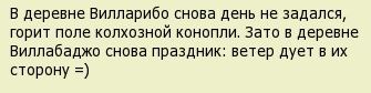 Сожгли 4 тонны конопли