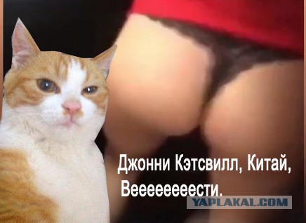 Эпичная драка двух россиянок в китайском такси попала на видео