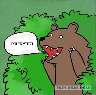 Погнали наши городских!