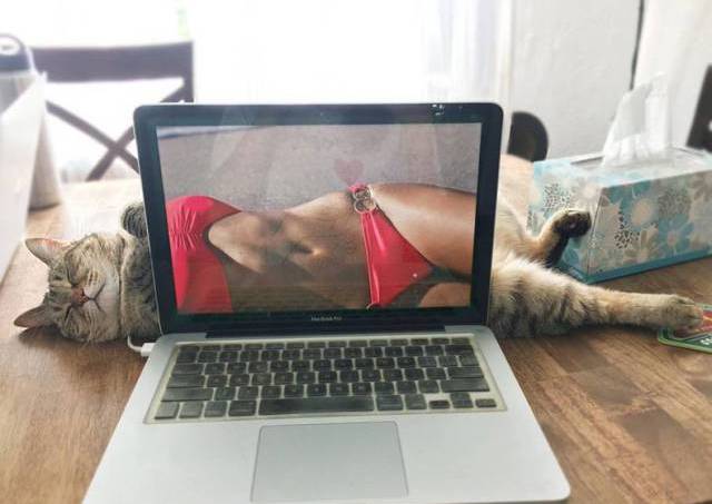 Ужасы и приколы из соцсетей 18+
