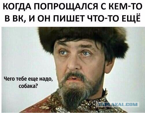 Смешные картинки с надписями