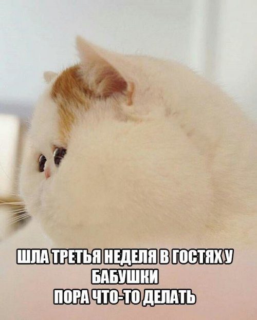 Занимательные картинки.
