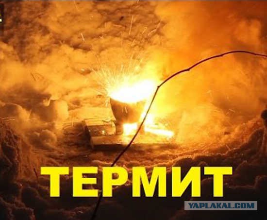 Семейное гнездышко.