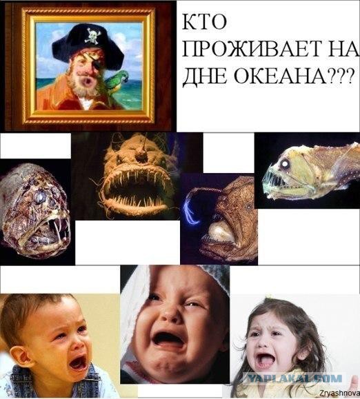 Юмор не для всех