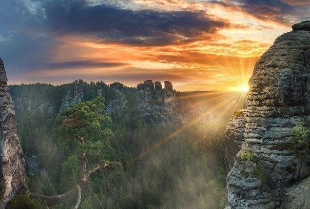 Моменты, запечатлённые на фото и просто позитив 5