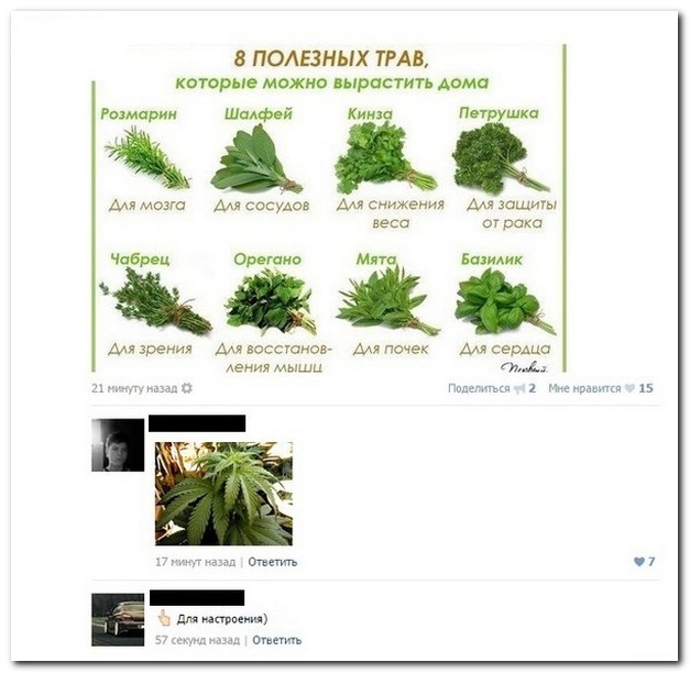 Смешные комментарии 19.03.2017