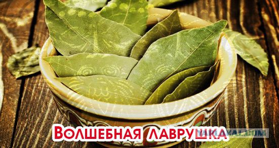Как сэкономить 5000 рублей на промывке форсунок.