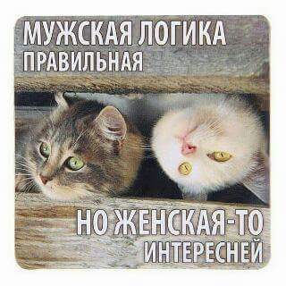 Журнал школьный деградант