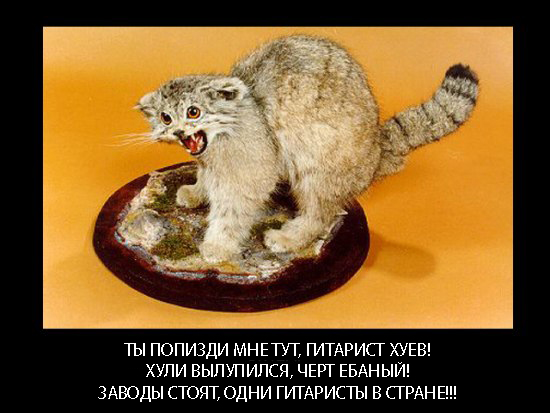 А может все-таки погладим?