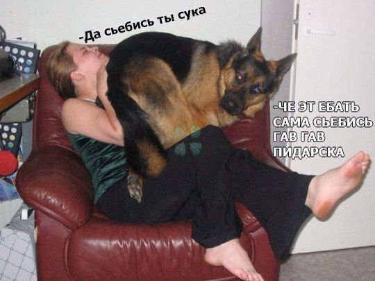 Картинок слегка)