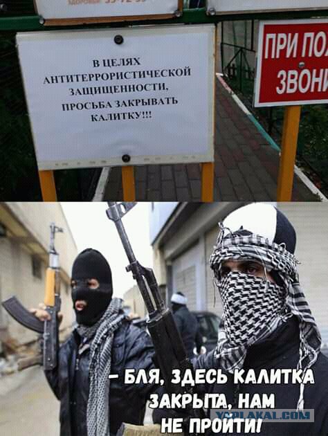 Дурацкие картинки