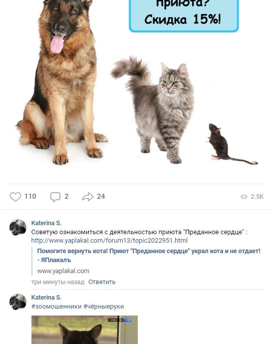 Помогите вернуть кота! Приют "Преданное сердце" украл кота и не отдает!