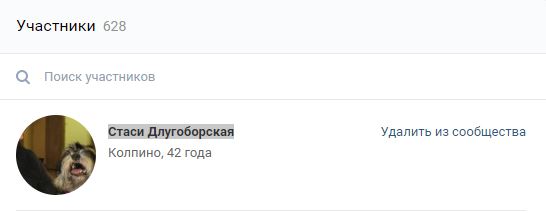 Помогите вернуть кота! Приют "Преданное сердце" украл кота и не отдает!-2