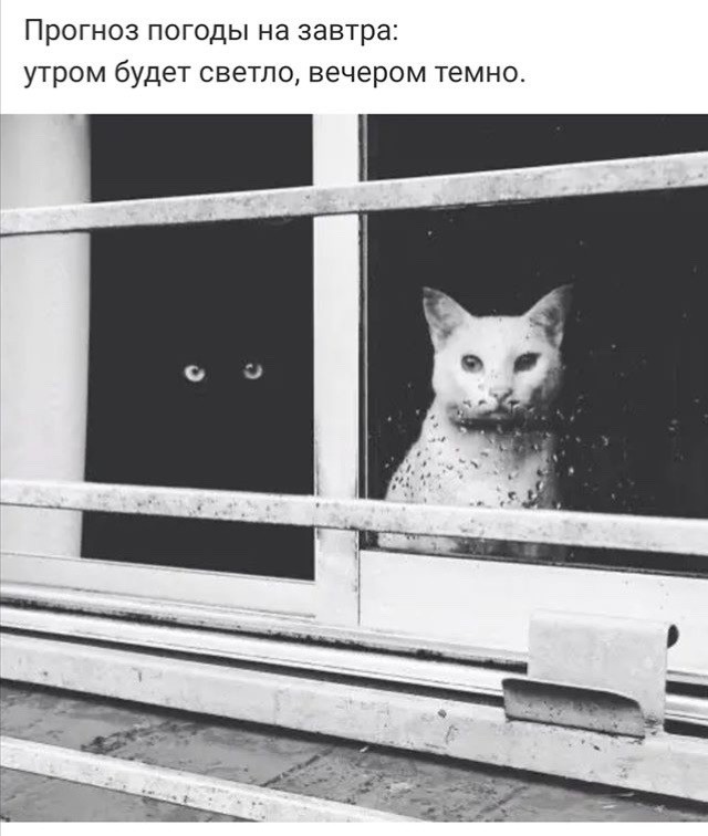 Бредзона 15.11.19