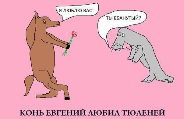 Свинегрет: картинки, надписи и прочее 06.02.20