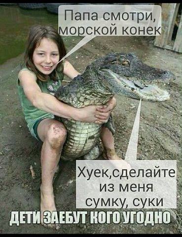 Дурацкие картинки