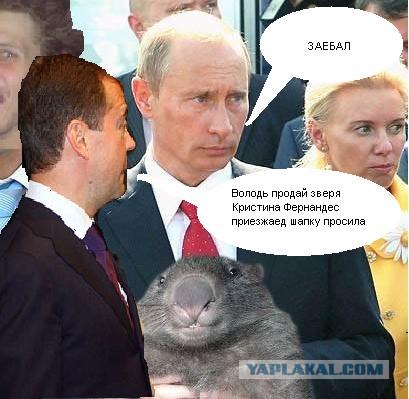 Фотожаба: Путин и зверь