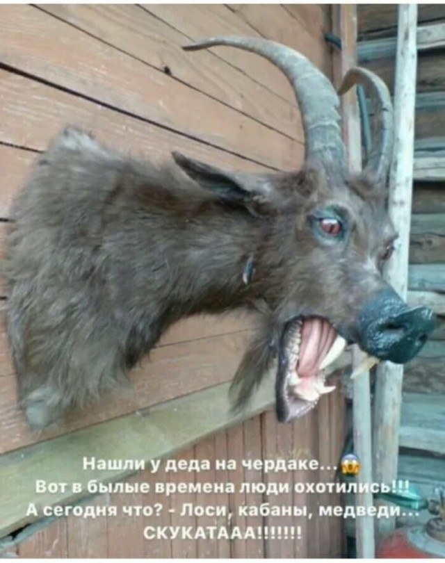 10 важнейших черепов для человечества
