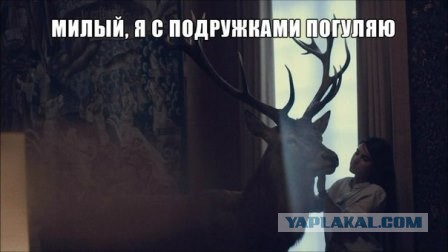 "Свадьбы не будет"