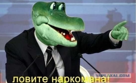 Жрун вместо кормильца: как выгоды семейной жизни превращаются в потери