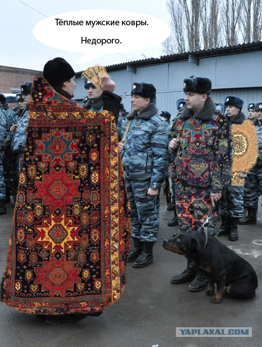Во имя отца, сына....