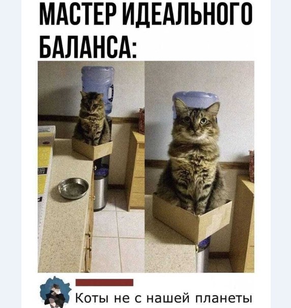 Картинки и мемы для настроения 01.02.2021