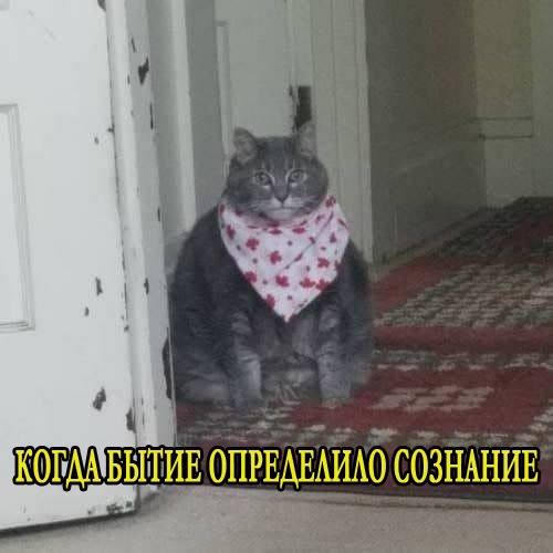 Баянисто-небаянистый юмор 24.04.21