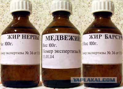 Собачий жир