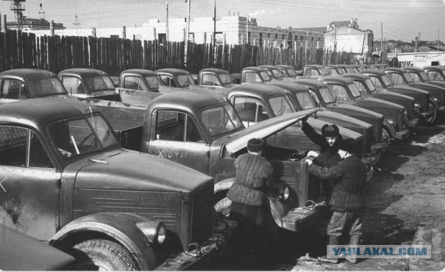 Россияне поддержали идею привлекать к работе заключенных вместо мигрантов