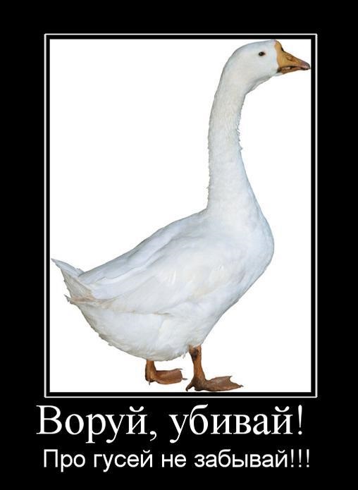 Это что такое делается в Сан-Франциско, кто может объяснить?