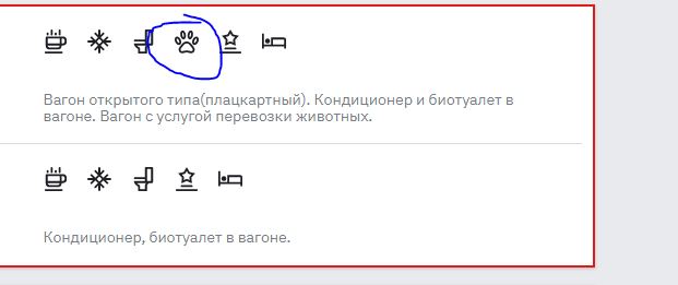 Пассажирка рейса Екб-Москва не смогла купить билет своему коту и оставила его в аэропорту