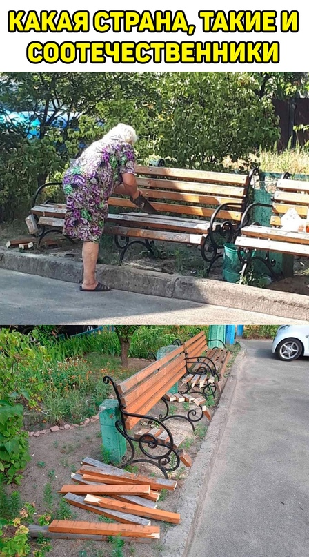 Весёлый полтишок 20.07