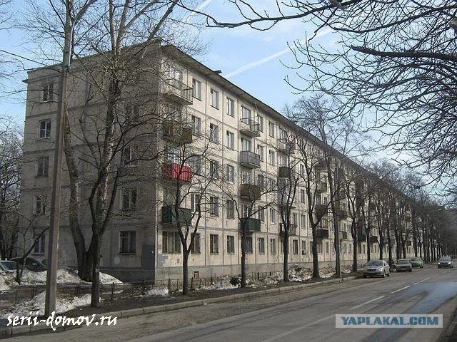 "Где вы берете еду?" Интернет-пользователи на Западе смакуют гигант-человейник в Кудрово