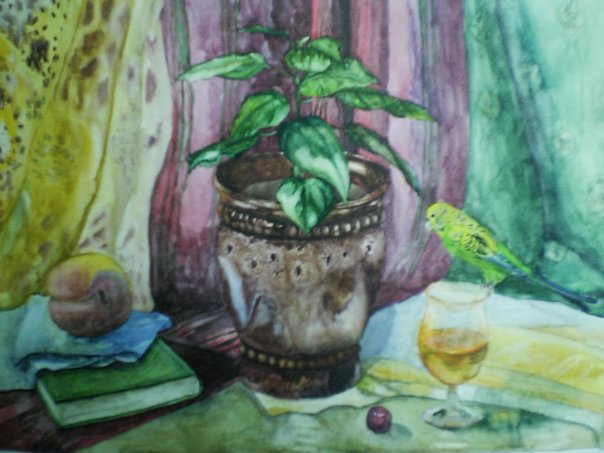 Мои рисунки