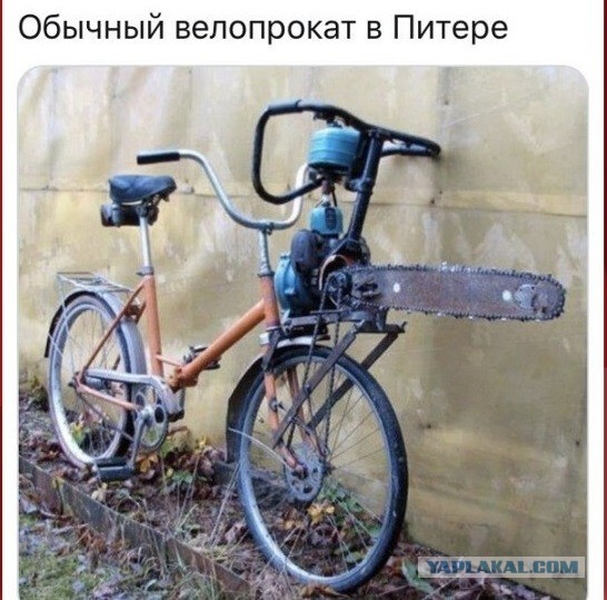 Поручили убийство дебилам. При аварии на "Сортавале" из багажника выкинуло тело без головы