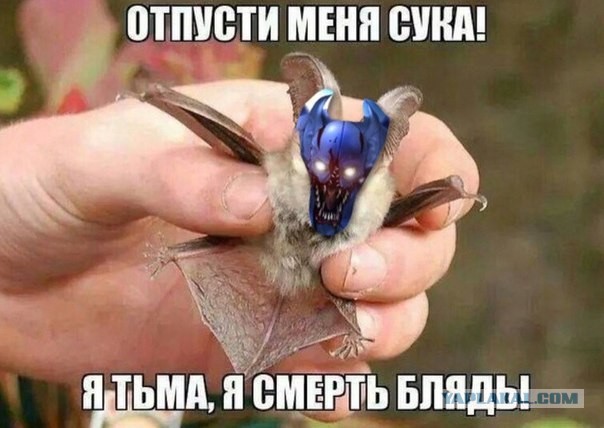 Зло попалось в плен