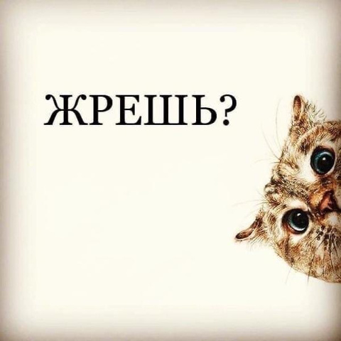 Чё жрешь?