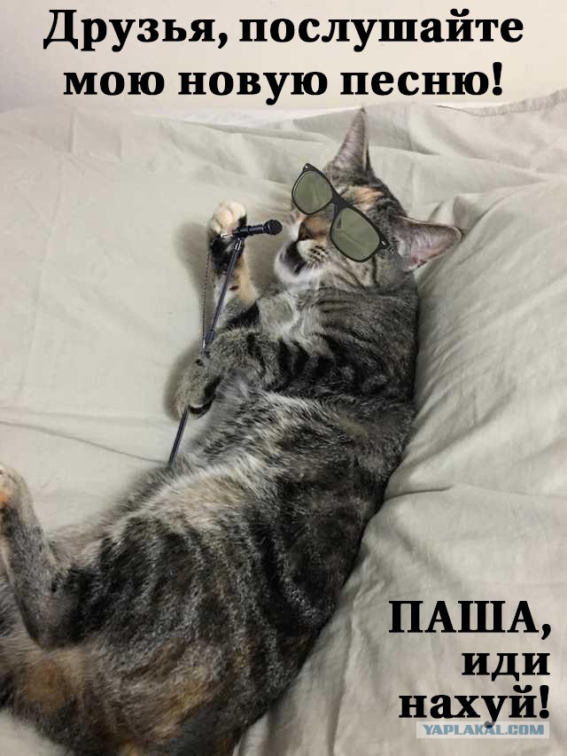 Озабоченным моим достоинством эта тема..(Пашкетт)