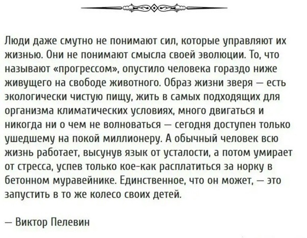 в следующей жизни выспимся. оргазм у свиньи длится 30 минут. настроение отложить все дела на следующую жизнь. если сомневаешься не делай. кем будет человек в следующей жизни.