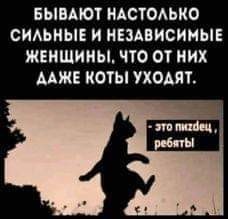 Картинки и мемы для настроения - 31