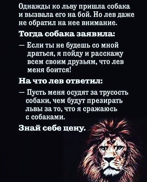 Немного картинок для настроения - 114