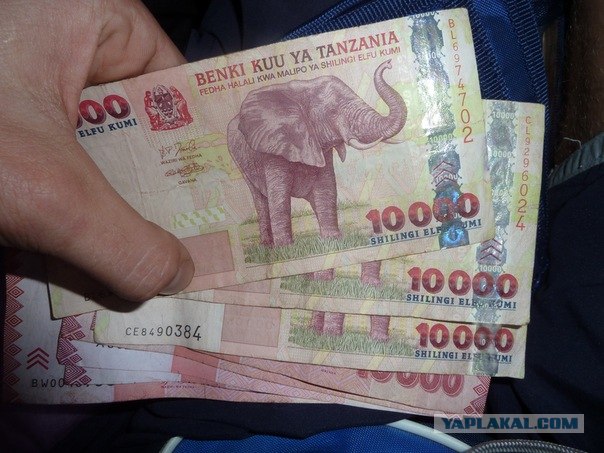 AFRICA - (Эфиопия,Кения,Танзация) 4-16 ноября 2011