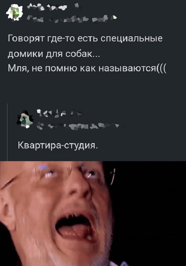 Картинки и мемы, всем хороших выходных