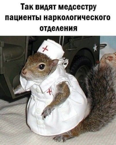 Подборка картинок 14.04.2023